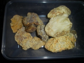 mixed 333g kauri gum small